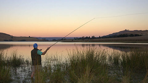 Cayley Mountain Resort