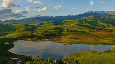 Cayley Mountain Resort
