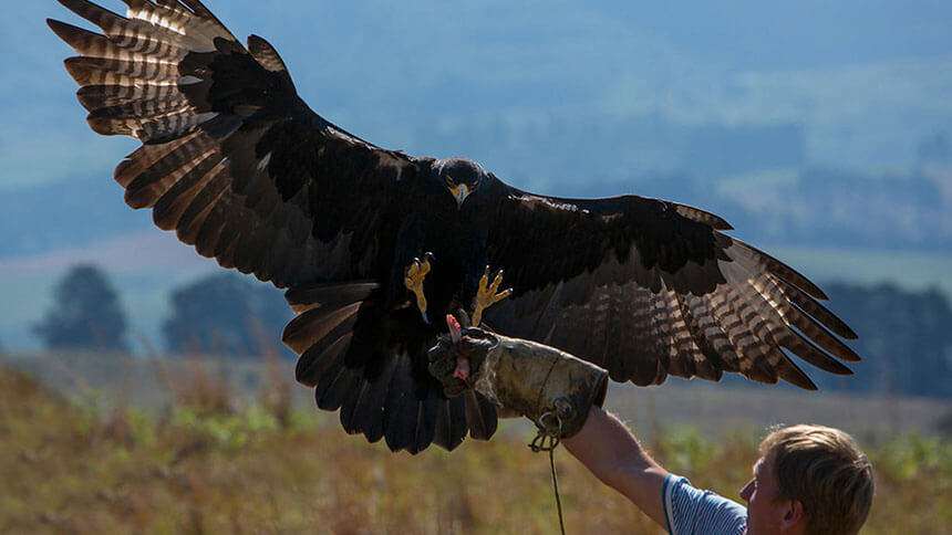 10 Best Things To Do In The Drakensberg