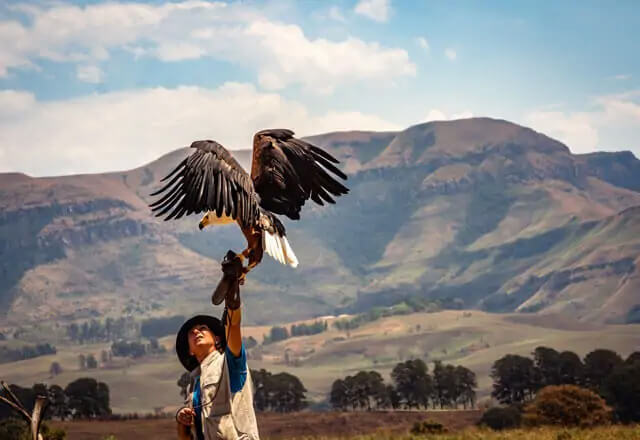 10 Best Things To Do In The Drakensberg
