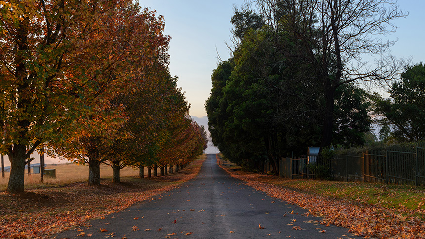 
 Smoother Roads Ahead to Cayley Mountain Resort 
