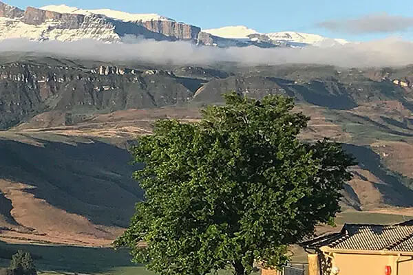 Snowy Peaks
